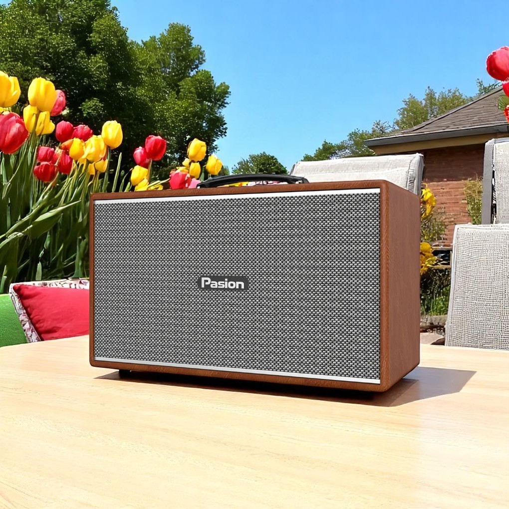Hiệu năng âm thanh loa di động xách tay Paramax PASION Enzo (Brown Leather)