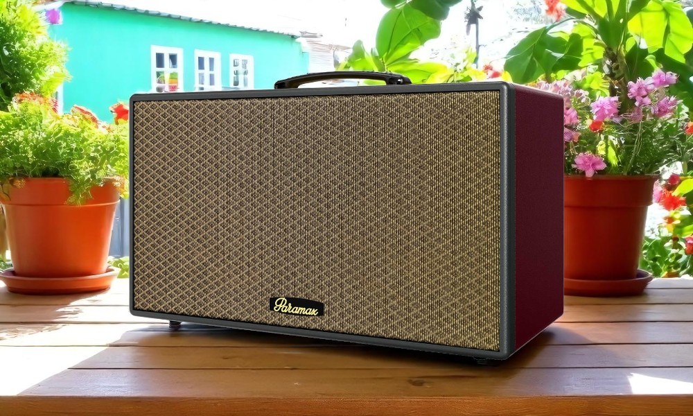 Buồng loa đôi Loa Karaoke di động xách tay Paramax Aura (Burgundy Leather)