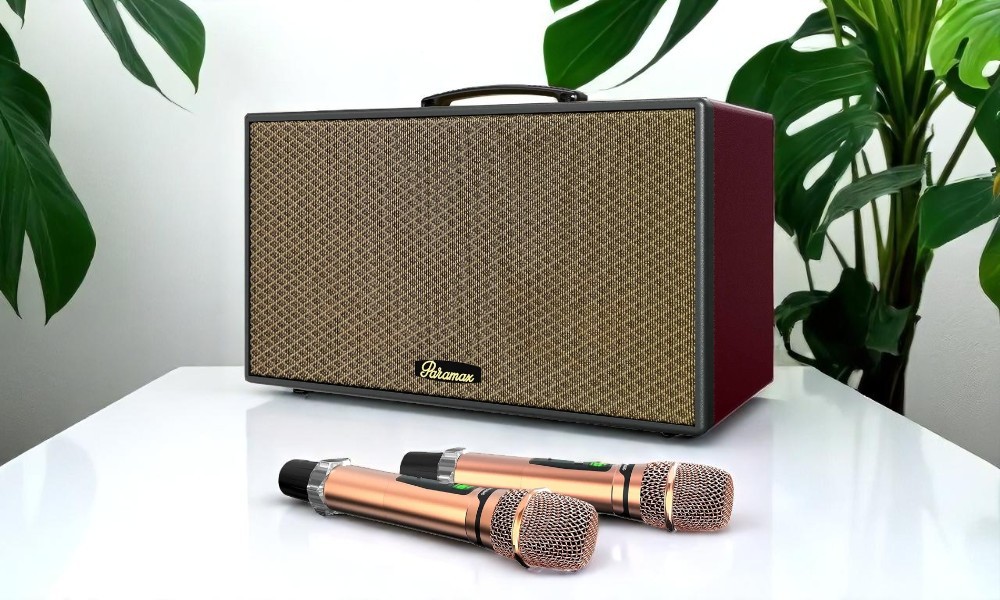 Micro đi kèm Loa Karaoke di động xách tay Paramax Aura (Burgundy Leather)