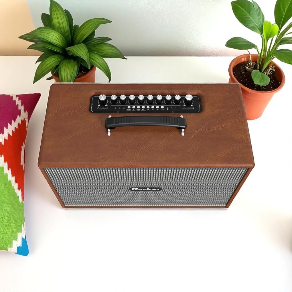Thiết kế loa di động xách tay Paramax PASION Enzo (Brown Leather)