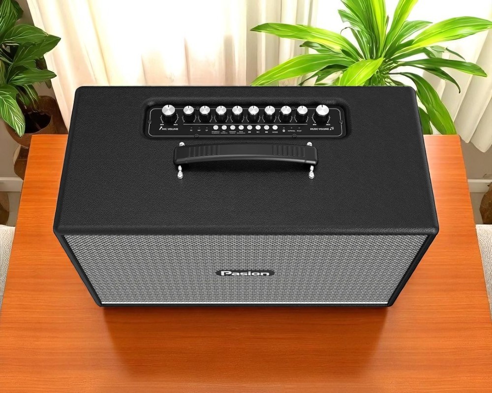 Loa di động xách tay Paramax PASION Enzo (Black Leather)