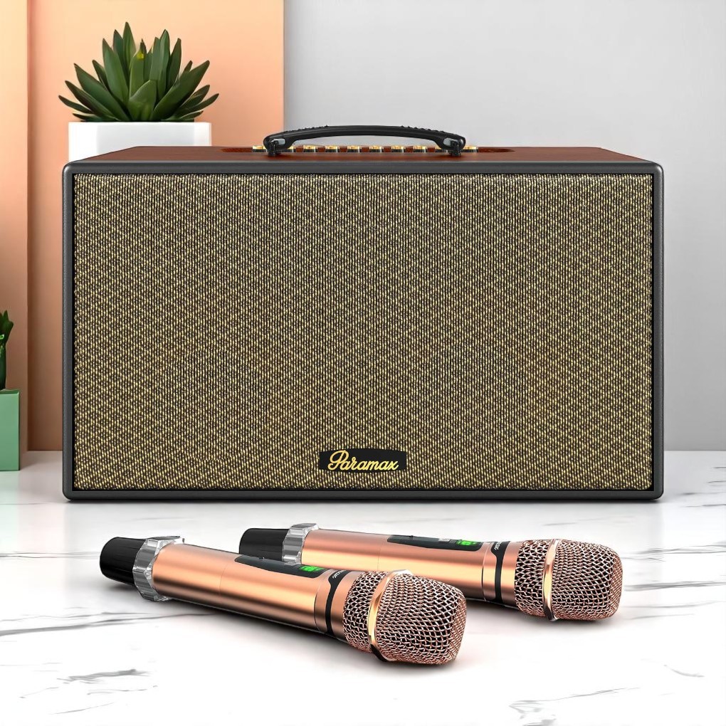 Loa Karaoke di động xách tay Paramax Aura (Brown Leather)