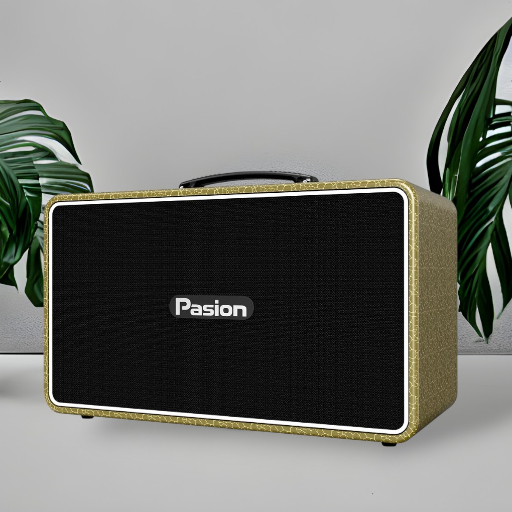 Công nghệ DSP kép 32 bit loa Paramax PASION Arte (Golden Olive)