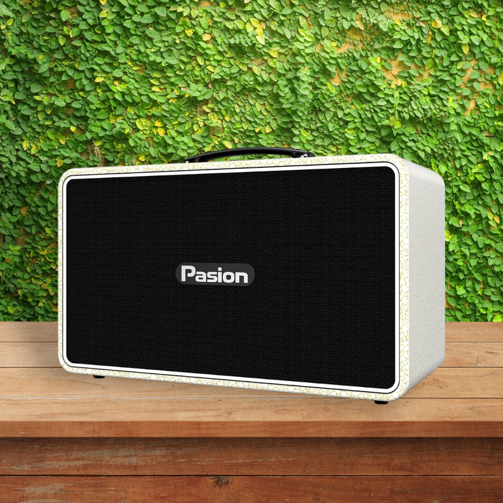 Công nghệ DSP kép 32 bit loa Paramax PASION Arte (Golden Pearl)