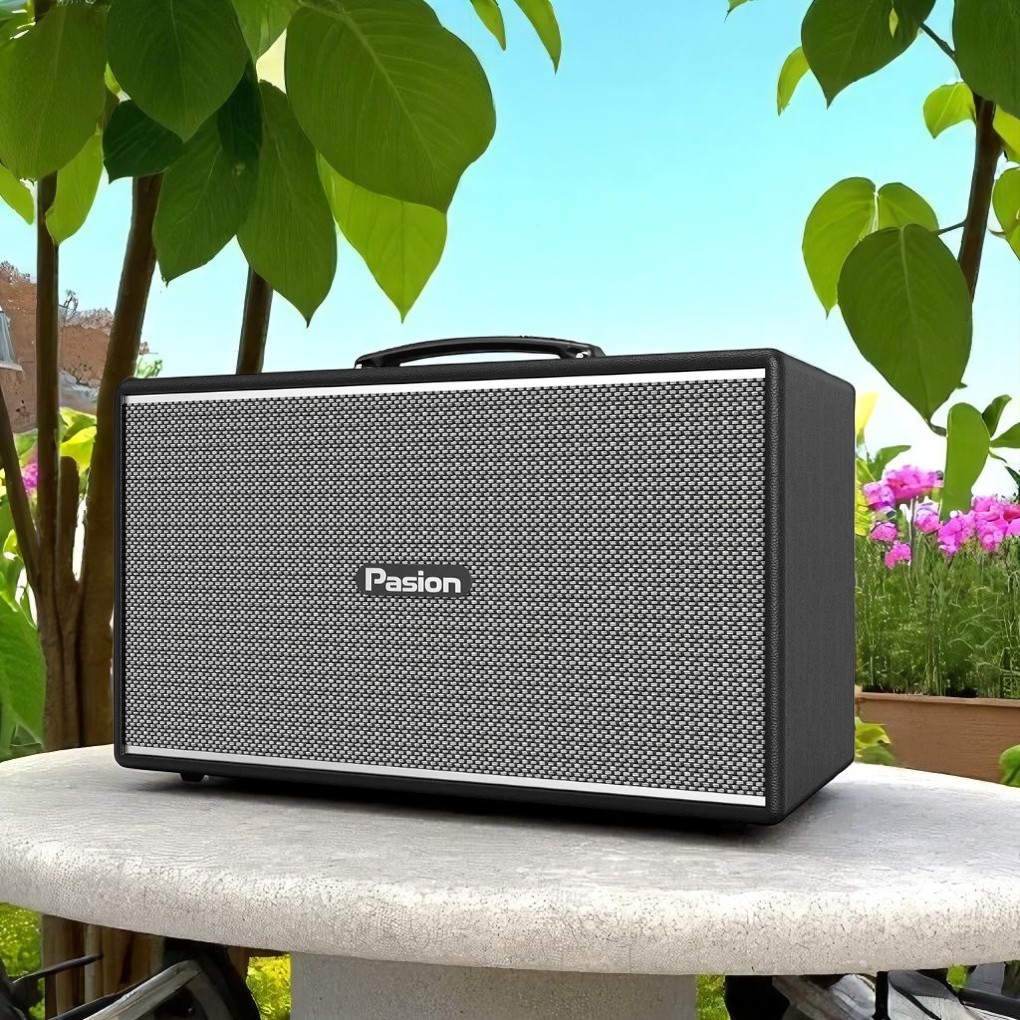 Công suất mạnh mẽ 225W loa Paramax PASION Enzo (Black Leather)
