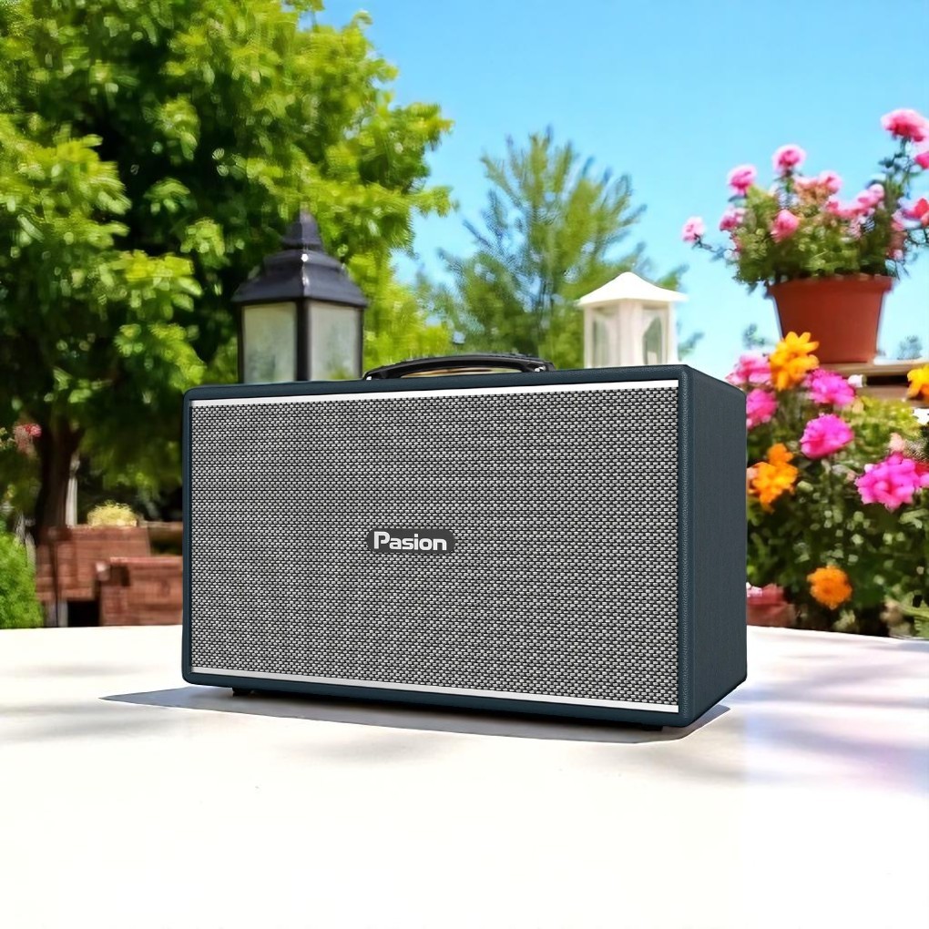 Công suất 225W loa Paramax PASION Enzo (Blue Leather)