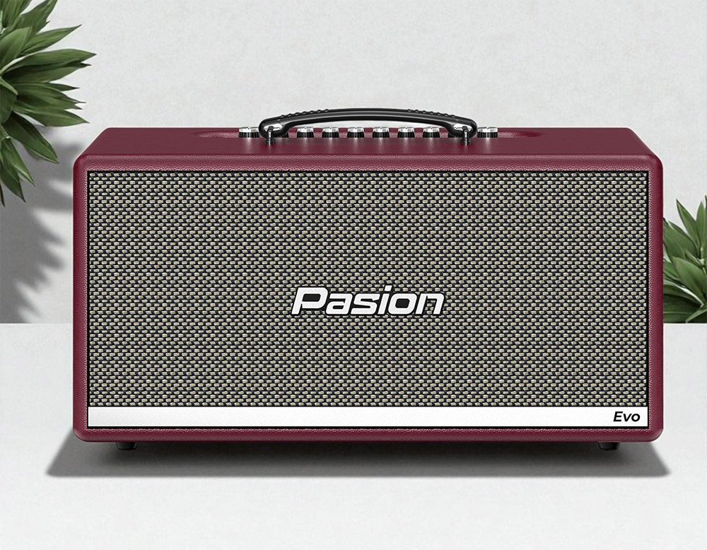 Loa thành phần và linh kiện chất lượng Paramax PASION Evo (Burgundy Leather)