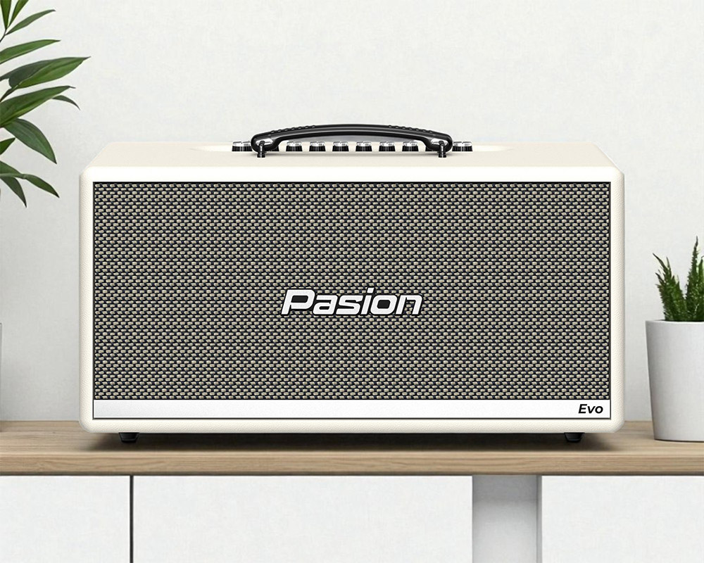 Loa thành phần và linh kiện chất lượng Paramax PASION Evo (Cream Leather)