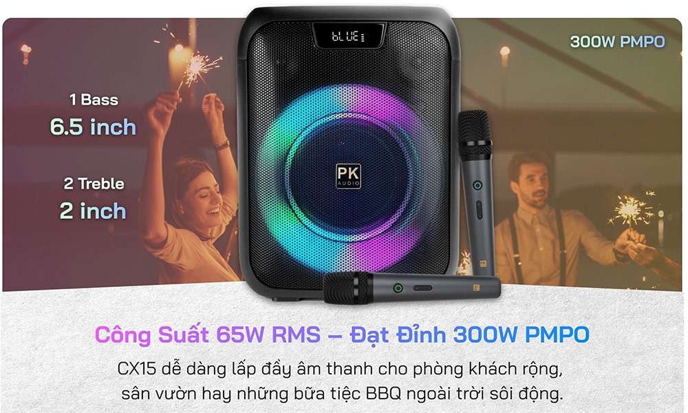 Công suất loa Karaoke di động xách tay Platinum CX15
