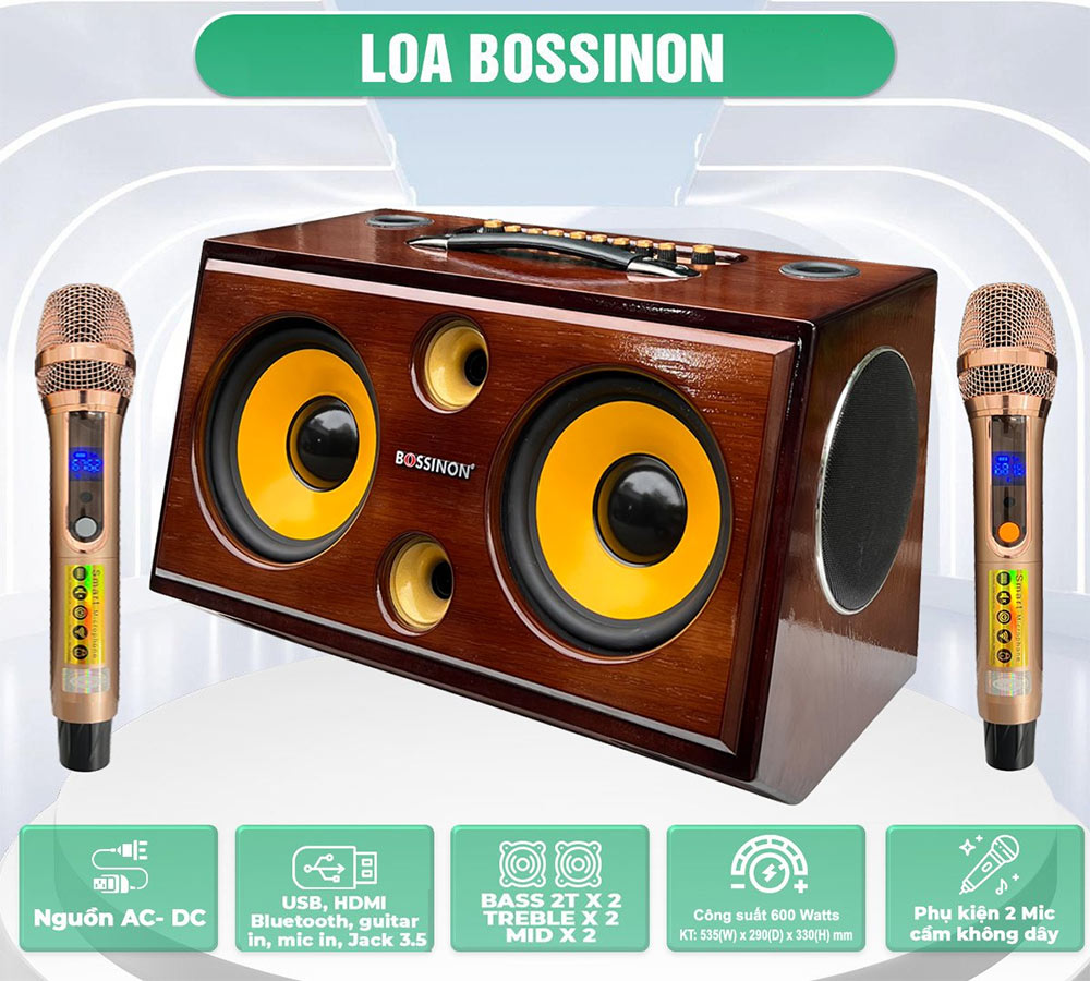 Kinh nghiệm chọn mua loa karaoke xách tay Bossinon