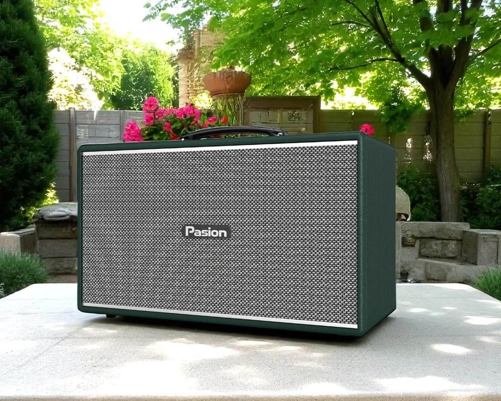 Hiệu suất âm thanh loa di động xách tay Paramax PASION Enzo (Green Leather)