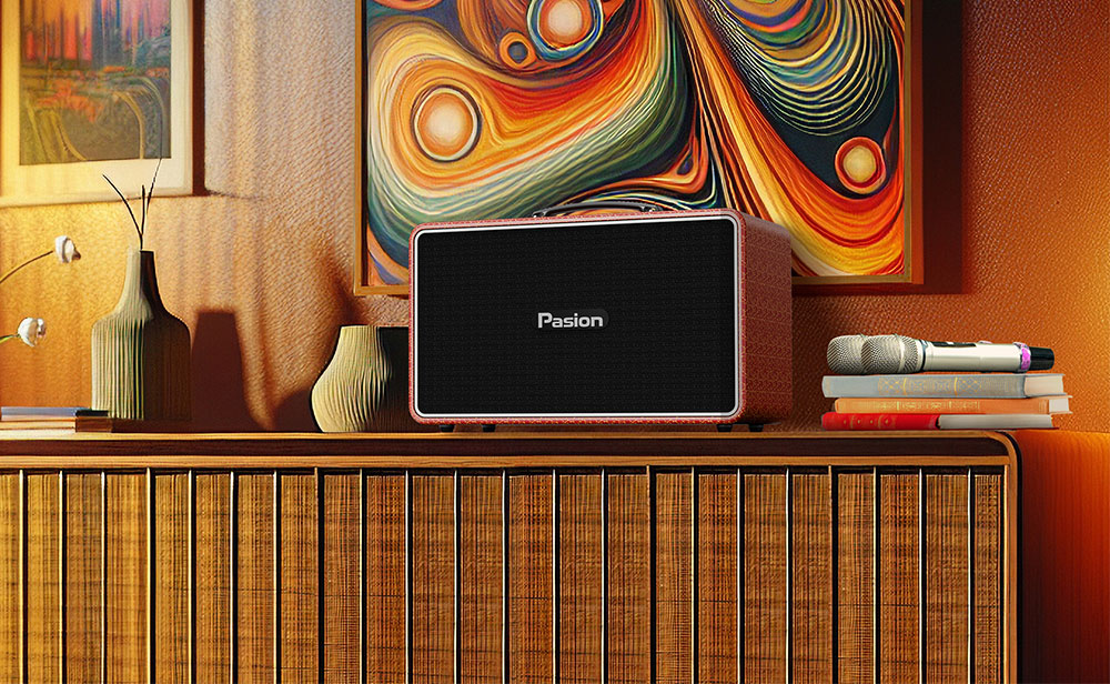 Loa karaoke xách tay Paramax chính hãng