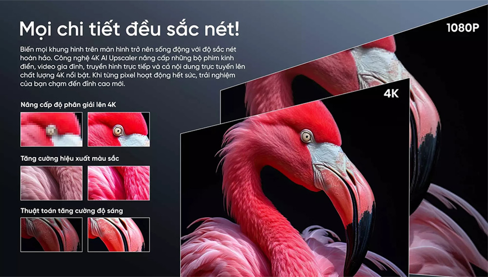 Trình diễn hình ảnh 4K rõ nét