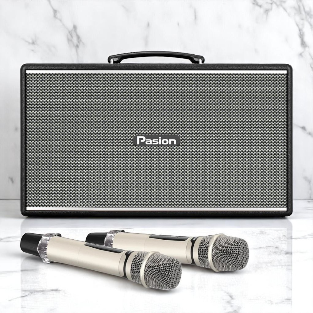 2 micro không dây đi kèm loa Paramax PASION Enzo (Black Leather)