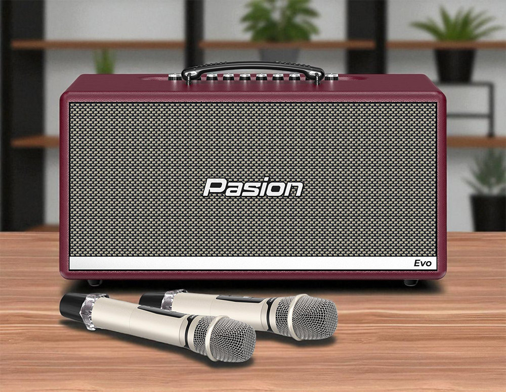 Thiết kế loa Karaoke di động xách tay Paramax PASION Evo (Burgundy Leather)