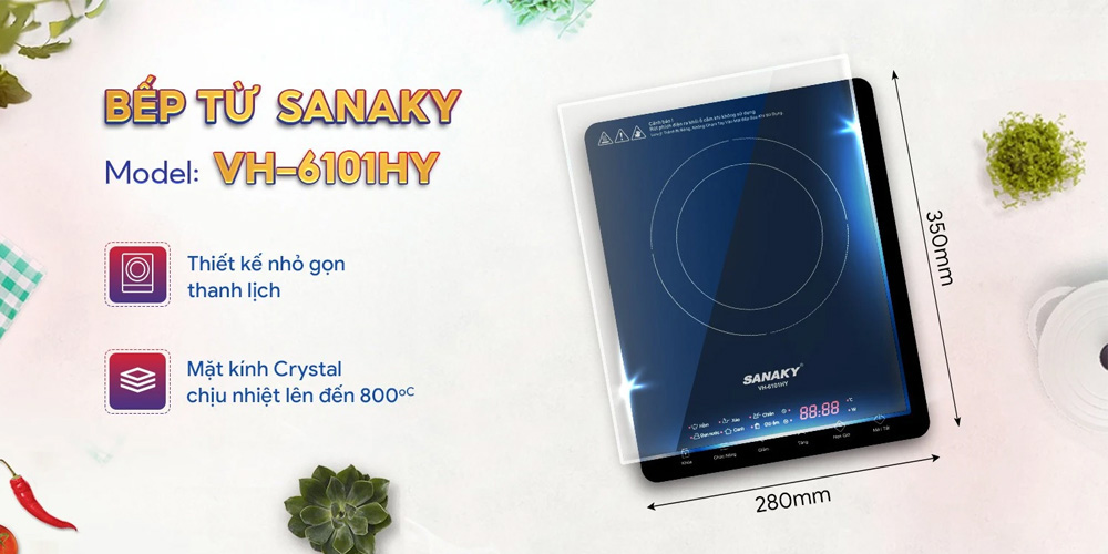 Bếp Điện Từ Đơn Sanaky VH6101HY 