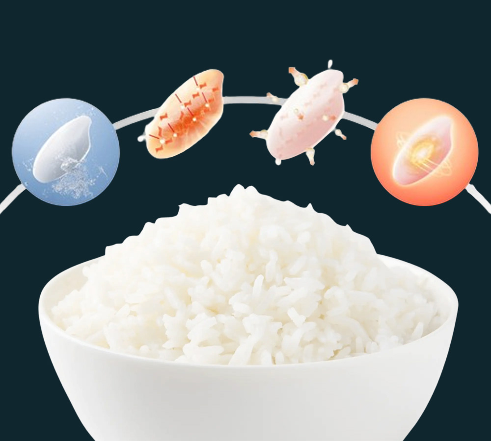 Công nghệ kích hoạt Enzyme giữ lại dưỡng chất trong từng hạt gạo