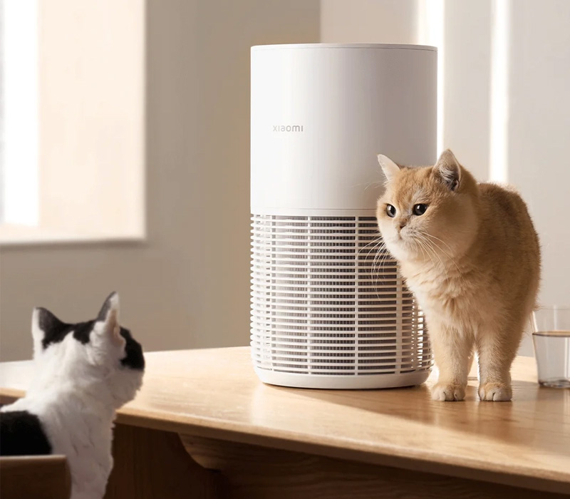 Vệ sinh máy lọc không khí Xiaomi định kỳ để tăng tuổi thọ