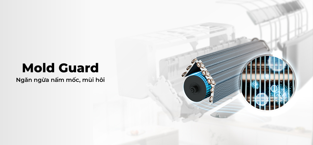 Chức năng Mold Guard hạn chế nấm mốc, mùi hôi phát sinh