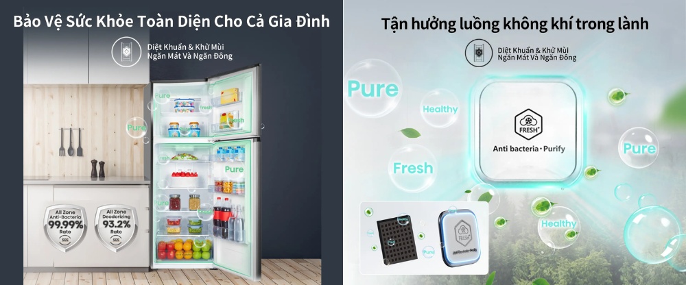 Kháng khuẩn, khử mùi ngăn mát và ngăn đông trong Tủ Lạnh Hisense RT469N4EBU