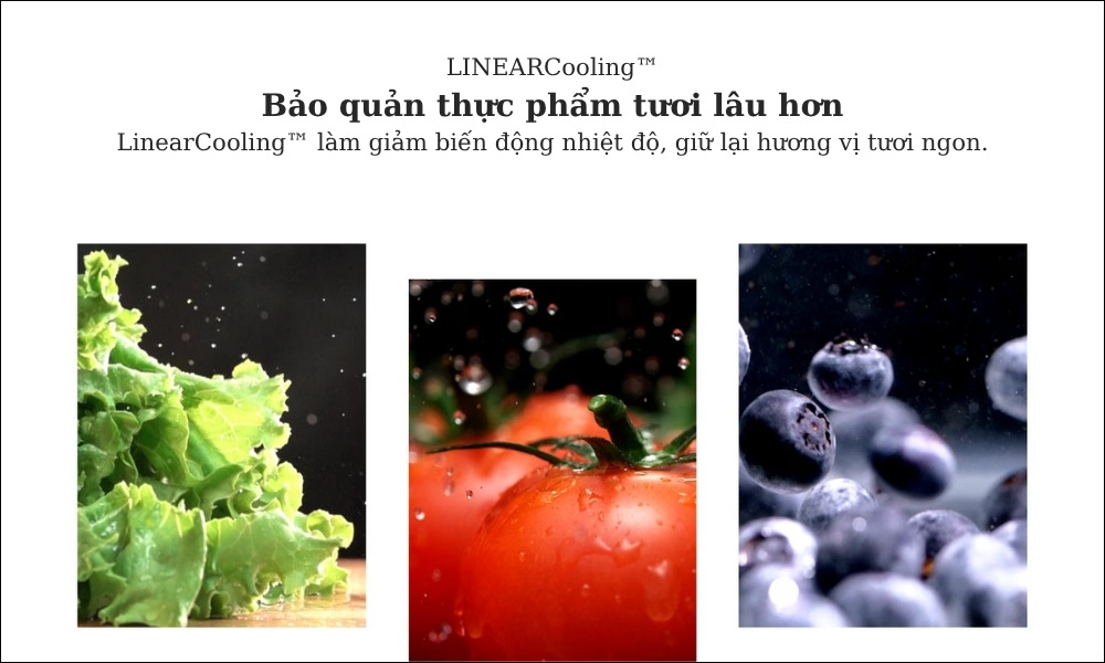 Công nghệ LinearCooling trên Tủ Lạnh LG LTB26BLM 