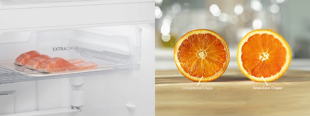 Ngăn đông mềm ExtraChill và GreenZone với Tủ Lạnh Electrolux ETB3460L-B