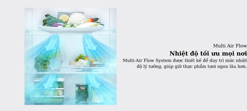 Tủ lạnh LG LTB26SVM trang bị công nghệ làm lạnh đa chiều Multi-Air Flow