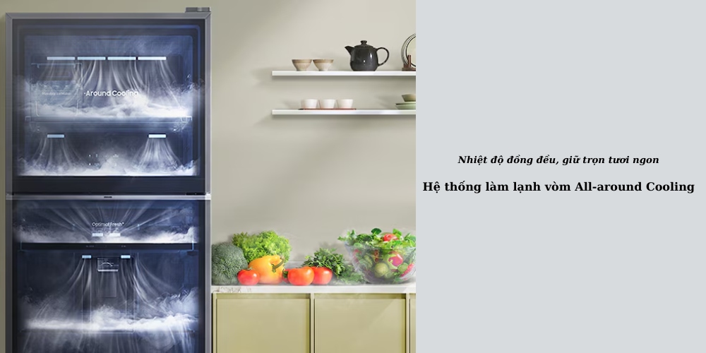 Tủ lạnh Samsung RT38CB668422SV giúp kiểm soát chặt chẽ sự thay đổi nhiệt độ