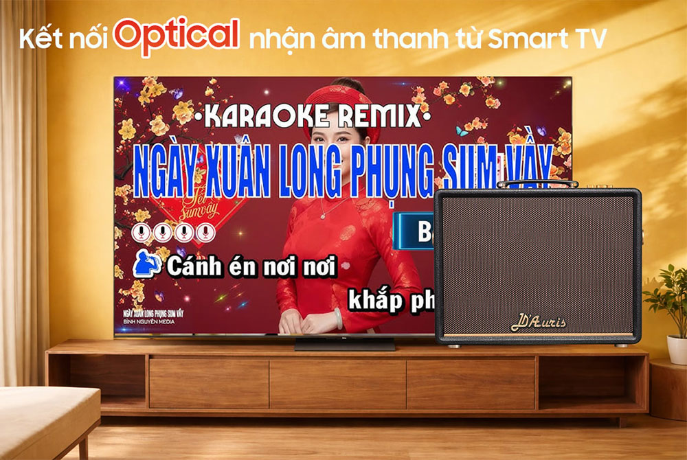 Kết nối Optical loa Karaoke di động Acnos D'Auris 200 màu đen