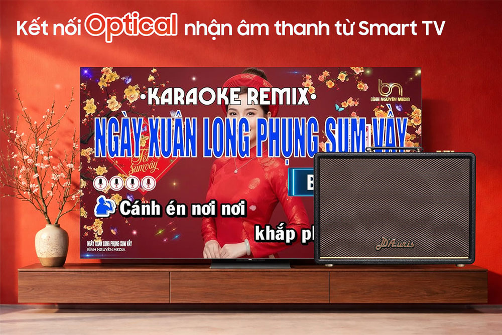 Cổng Optical In loa Karaoke di động Acnos D'Auris 300 đen