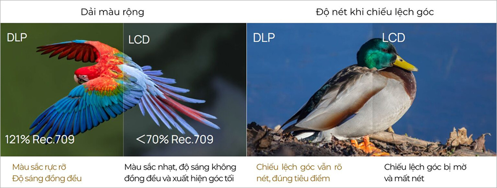 Công nghệ hiển thị DLP máy chiếu Xgimi Elfin Flip Plus Full HD