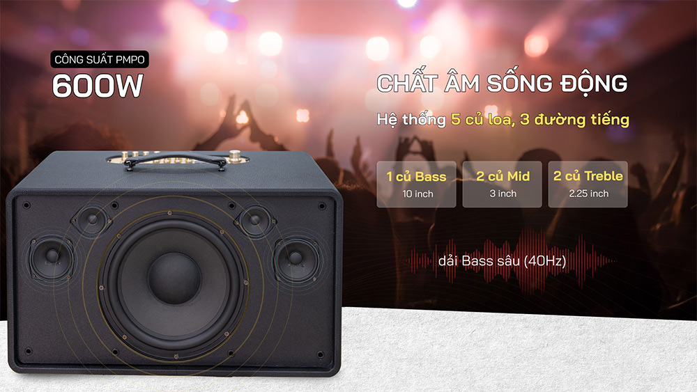 Hệ thống 5 củ loa 3 đường tiếng loa Karaoke xách tay Icore S9