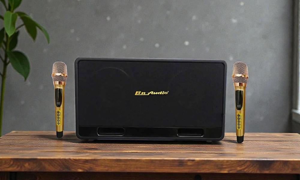 Thiết kế loa karaoke xách tay linh hoạt sử dụng