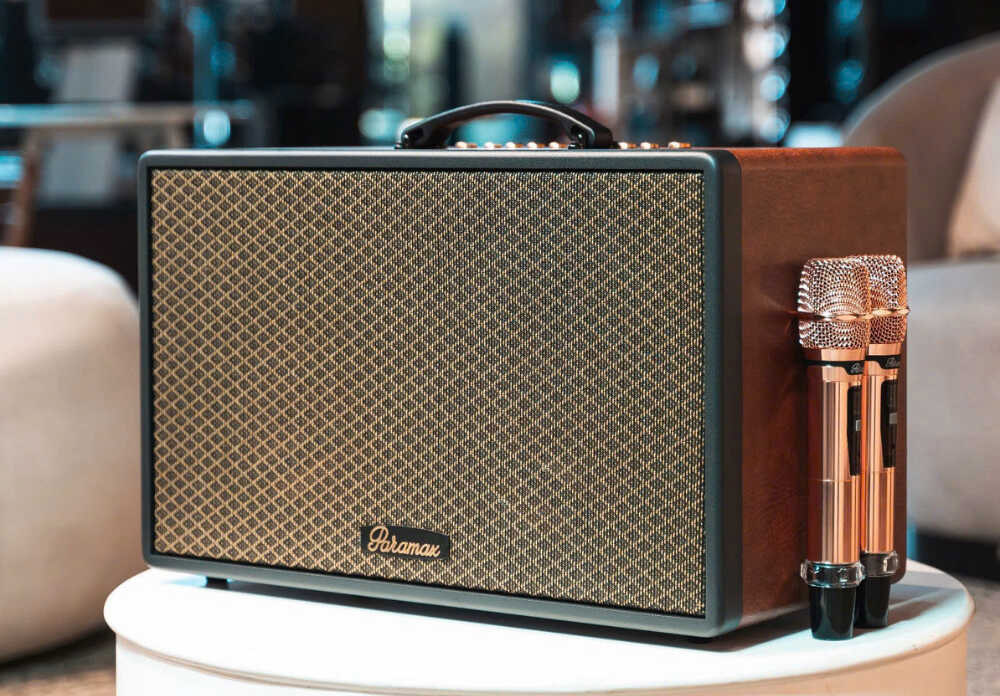 Loa karaoke - Giải trí linh hoạt, tiện lợi