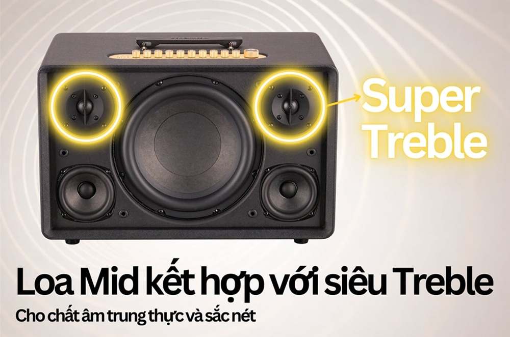 Củ loa mid kết hợp với loa siêu treble loa Acnos Flac 36 ULTIMATE màu đen