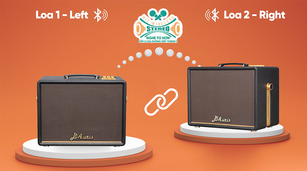 Mic Wireless Stereo loa Karaoke di động Acnos D'Auris 200 màu đen