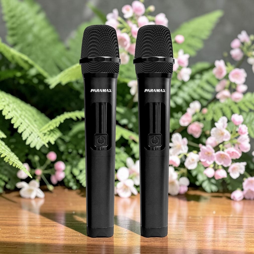 Tích hợp sẵn 2 micro không dây, karaoke mọi lúc