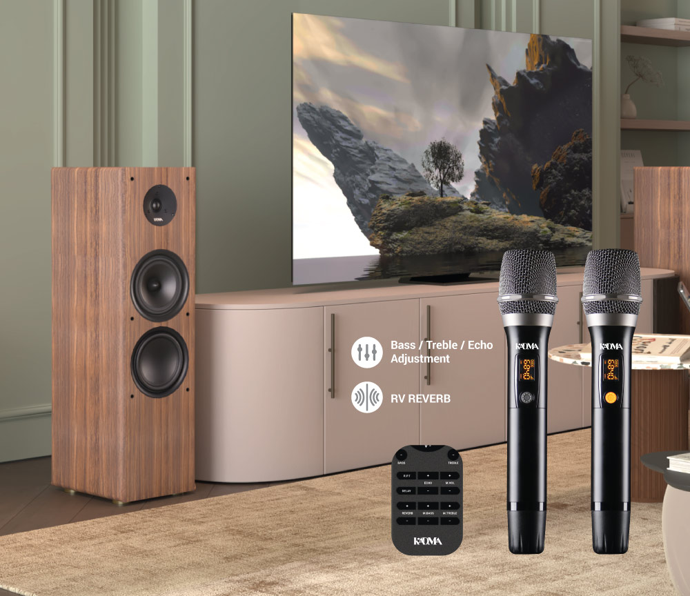 Đi kèm 2 micro không dây với công nghệ chống hú rít