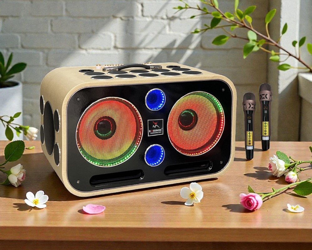 Bo mạch CLASS loa Karaoke xách tay Bossinon K25 Pro