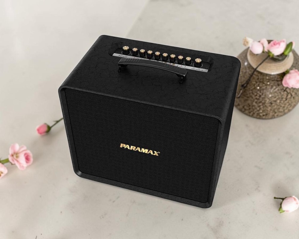 Thiết kế loa Karaoke xách tay Paramax Symbo 6