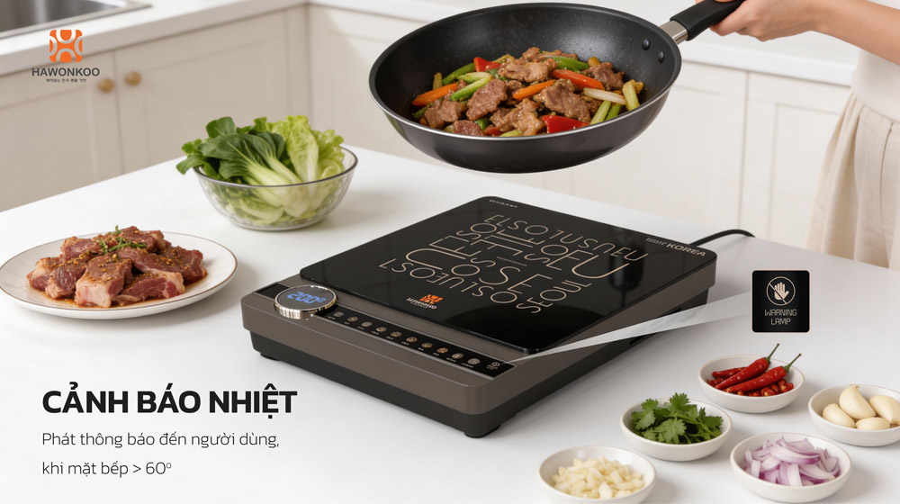 Hawonkoo SEOUL-CEH-114 Inverter đảm bảo an toàn khi sử dụng 