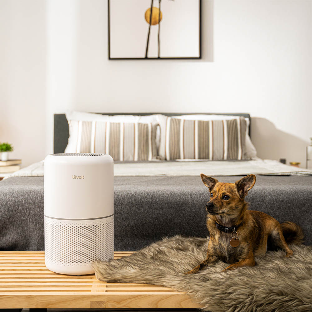 Máy Lọc Không Khí Levoit Core 300S 15W phù hợp cho không gian 54m²