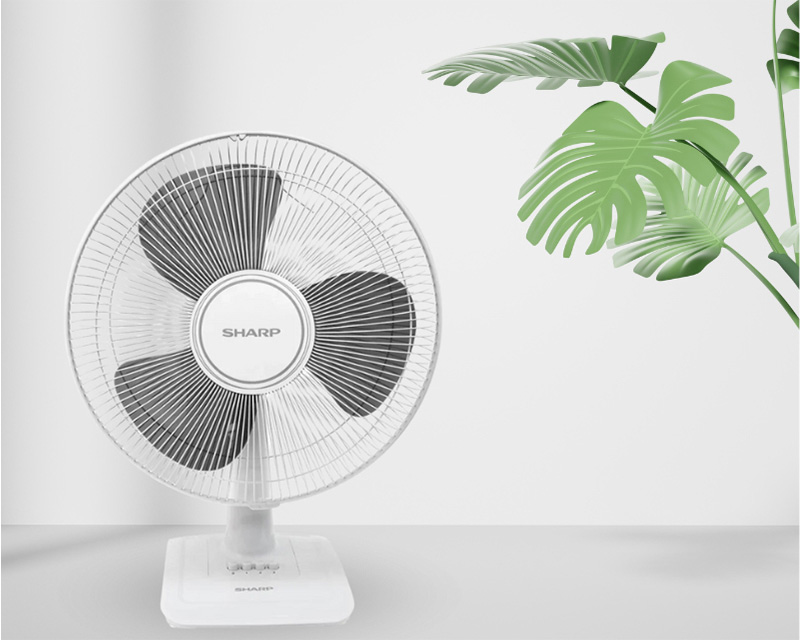 Dễ dàng di chuyển quạt bàn từ phòng này sang phòng khác