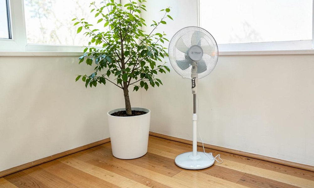 Quạt Đứng Titani TFS40-9 có 3 mức gió tùy chỉnh