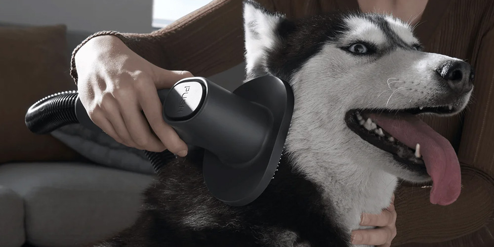 Chổi dành riêng cho thú cưng của Xiaomi Vacuum Cleaner G20 Max EU