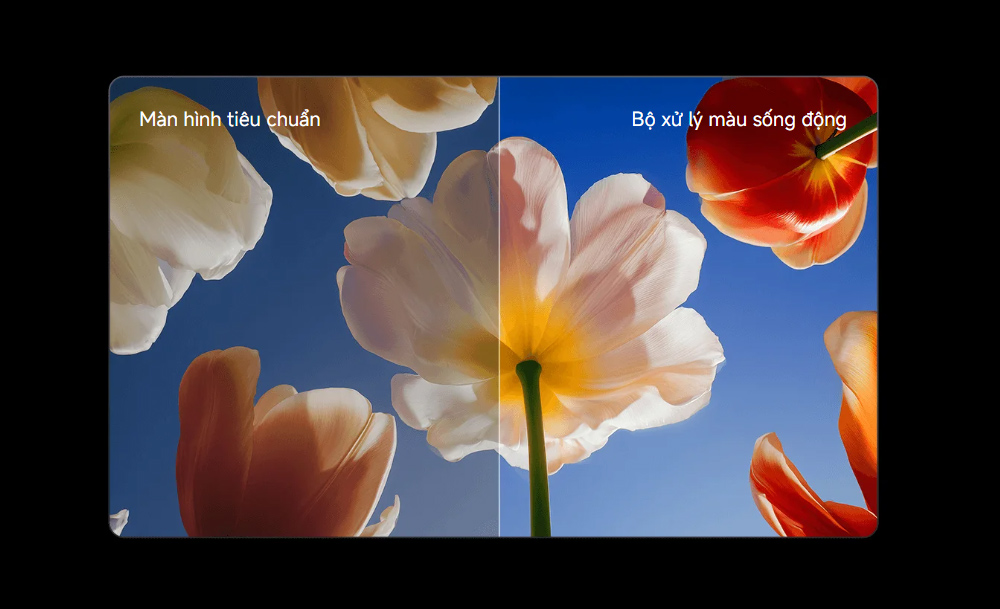 Bộ xử lý màu tiên tiến đóng vai trò quan trọng trong việc tái tạo hình ảnh