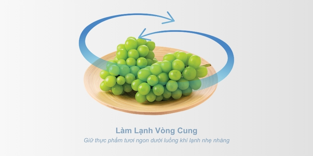 Hệ thống làm lạnh vòng cung giữ thực phẩm tươi ngon lâu hơn