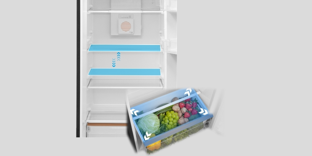 Khay kệ điều chỉnh được giúp tối ưu diện tích lưu trữ cho tủ lạnh 240 lít GR-RT310WE-PMV(68)