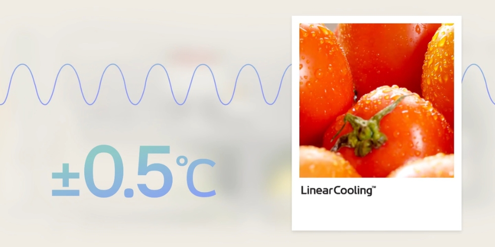 LG Inverter F58BGD đảm bảo thực phẩm luôn tươi mới