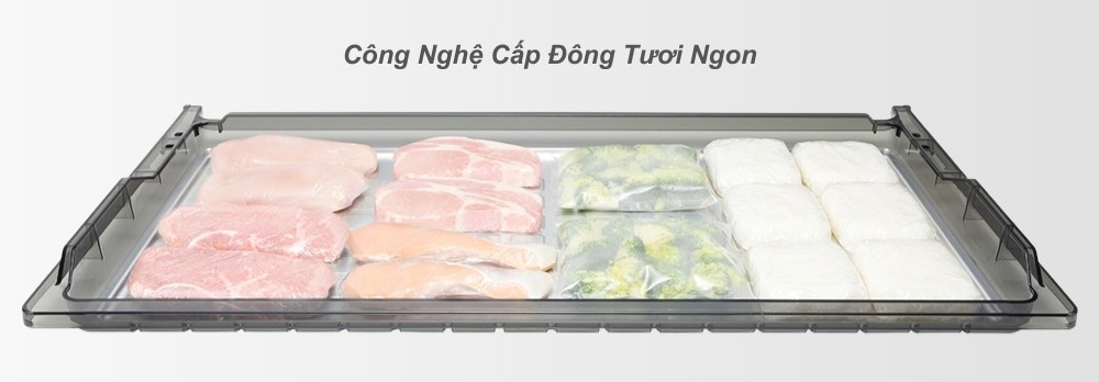 Tủ Lạnh 670 Lít R-GW670TV XK cấp đông nhanh giữ thực phẩm tươi ngon